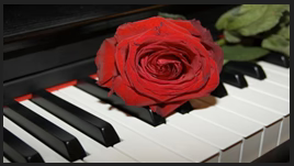 Adam's Tree - The Knowledge of Good and Evil